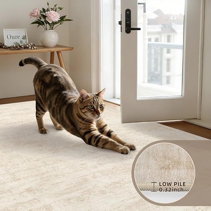 Machine Washable Area Rugs 2x3: Vintage Boho Neutral Washable Rug Indoor Soft - Image 6