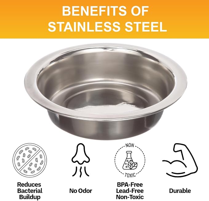 Neater Pet Brands 1 Cup Shallow Stainless Steel Cat Bowls, Metal Cat Dishes - Image 5
