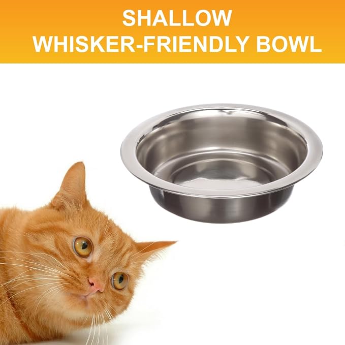 Neater Pet Brands 1.5 Cup Shallow Stainless Steel Cat Bowls, Metal Cat Dishes - Image 6