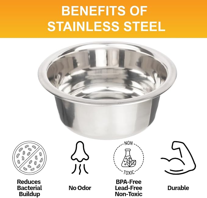 Neater Pet Brands 2.2 Cup Stainless Steel Dog Bowls, Dog Food Bowl & Water Bowl - Image 5