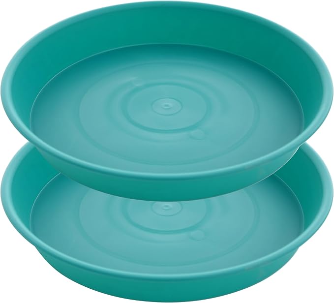 2 Pack of 8 inch Plant Saucer Clear, Heavy Duty Plastic Plant Water Tray 8 inch by Bleuhome
