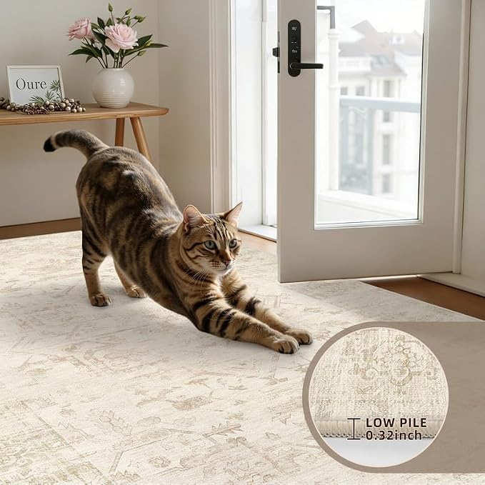 Round Area Rug for Living Room: 6ft Vintage Boho Neutral Washable Circle Rug - Image 6