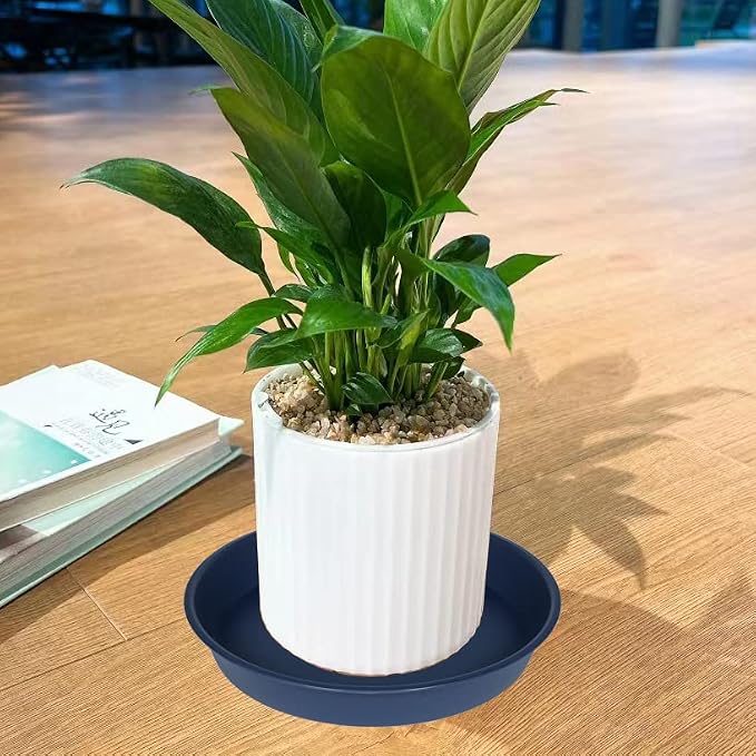 6 Pack of 12 inch Plant Saucer, Heavy Duty Plastic Plant Saucer 12" Round - Image 3