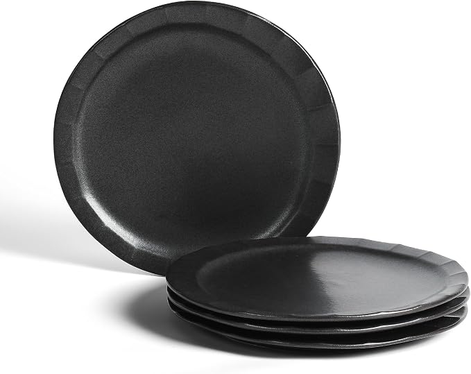Stone Lain Oasis Stoneware Plate Dish Set, 4-Piece Dinner Plates by Unknown
