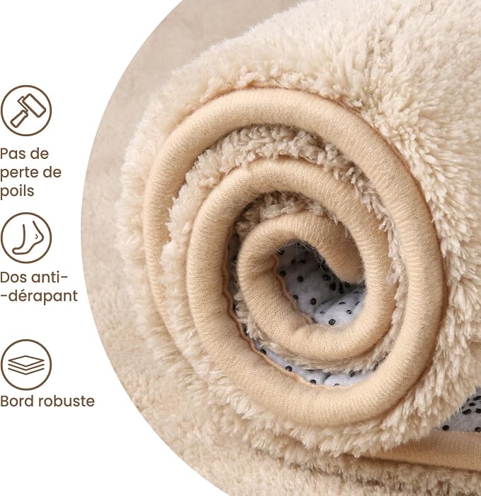 Sour Lemon 8x10 Area Rugs for Living Room, Soft Large Area Rug Fluffy Rugs for - Image 4