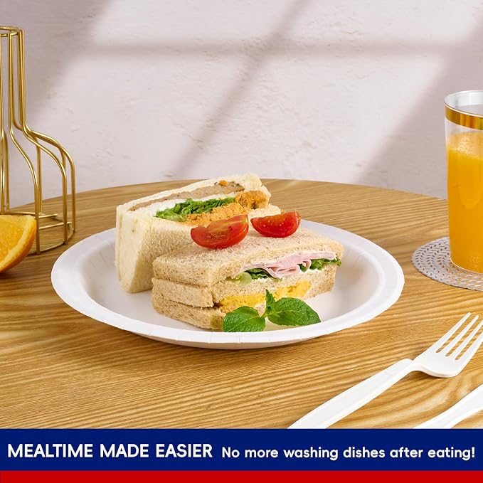 Paper Plates 500 Count 10 inch Disposable | Soak Proof, Cut Proof, Microwave - Image 3