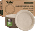 Vplus 500 Pack Compostable Bagasse Paper Plates 10.25 inch, Nature | Super by Vplus