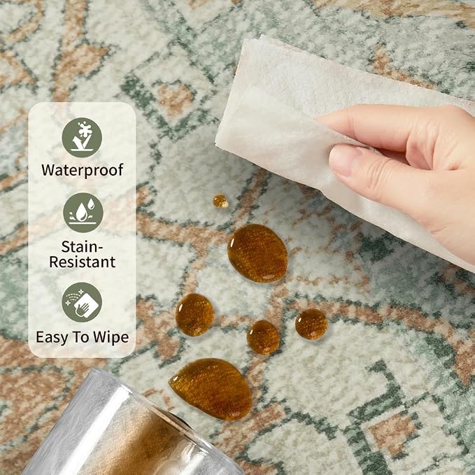 Rugxara Entryway Rug Door Mat, Washable Samll 2x3 Rug, Non Slip Area Rugs - Image 8