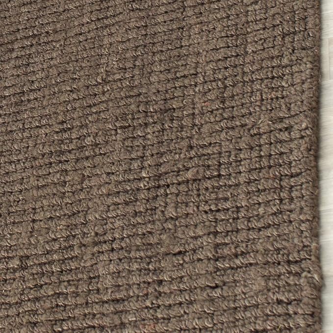 SAFAVIEH Area Rug 11x15 - Image 6
