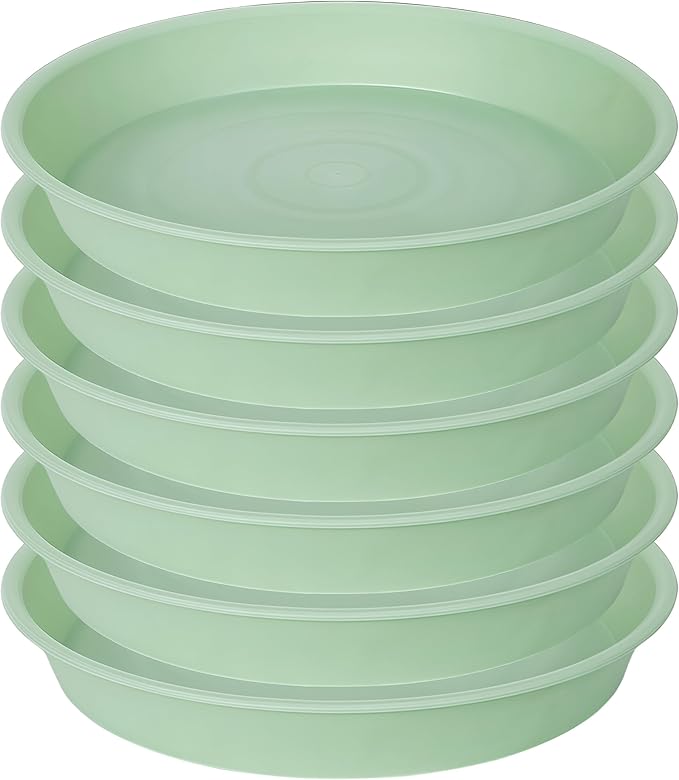 2 Pack of 8 inch Plant Saucer Clear, Heavy Duty Plastic Plant Water Tray 8 inch - Image 8