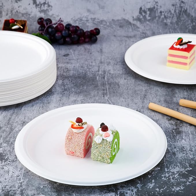 Vplus 500 Pack Compostable Bagasse Paper Plates 10.25 inch, 100% Bagasse - Image 3