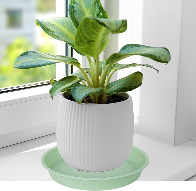6 Pack of 6 inch Plant Saucer Drainage Tray, 4 5 7 8 10 12 13 15 17 19 inch - Image 4