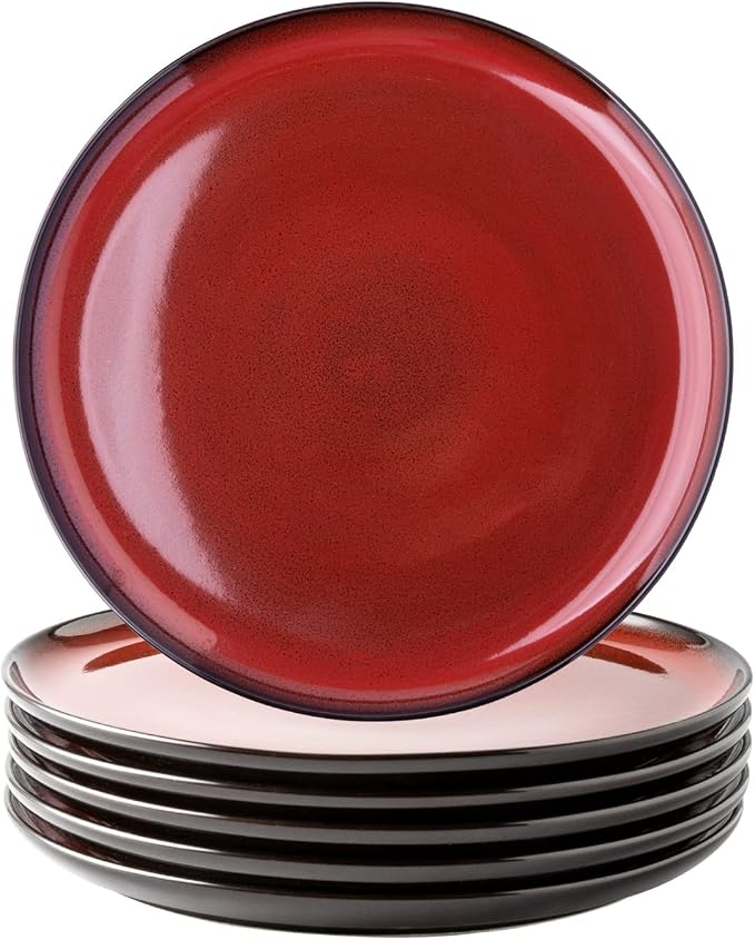 LERATIO Ceramic Dinner Plates Set of 4, 10.5 Inch Reactive Glaze Plate Sets | by LeRatio