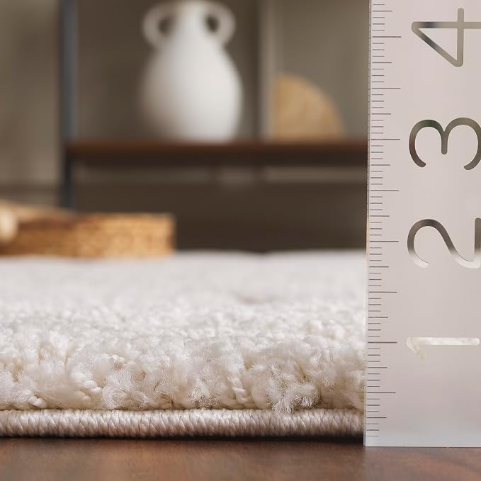 SAFAVIEH Florida Shag Collection Accent Rug - Image 4