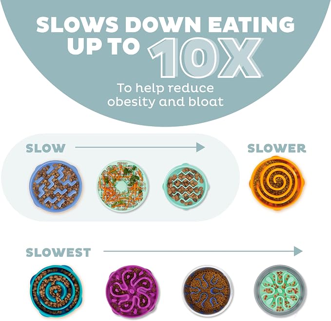 Outward Hound Fun Feeder Slo Bowl – Large 4‑Cup Capacity, Slow Feeding - Image 4
