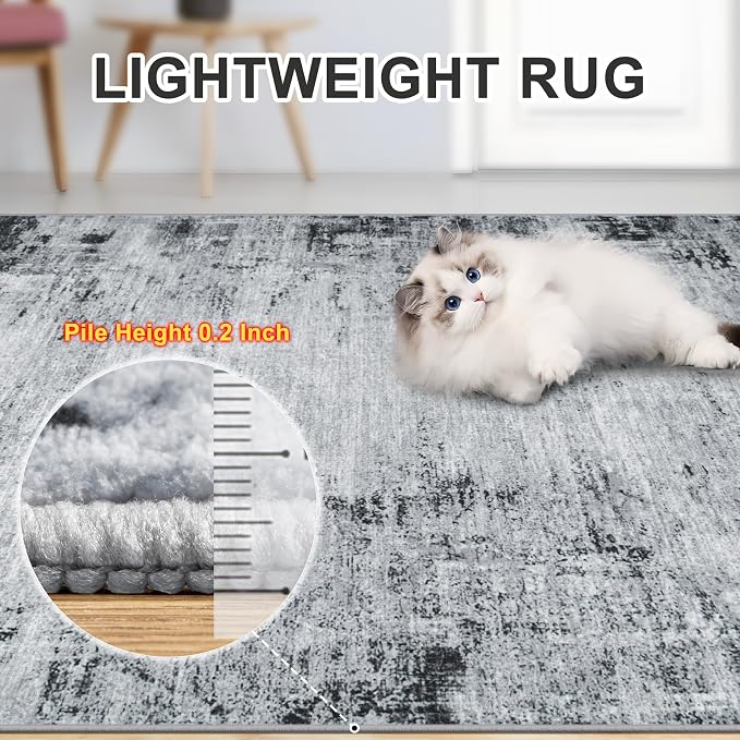 Area Rugs 10x14 Living Room - Image 5