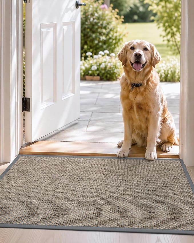 DEXI Ultra Thin Entryway Indoor Door Mat 17x30, Non Slip Rubber Backing Inside - Image 9