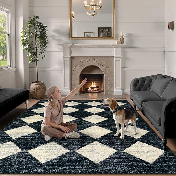Lahome Moroccan Trellis Area Rug - Image 4