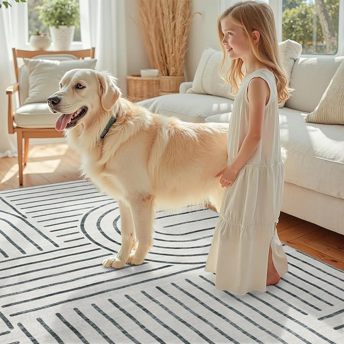 DCX Abstract Machine Washable 6x9 Rug, Soft Low Pile Non Slip Carpet, Kid & Pet - Image 3