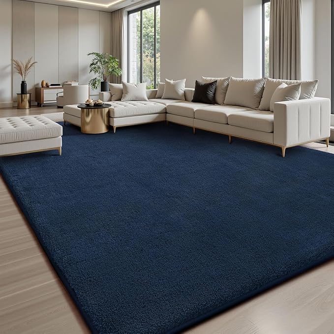 Sour Lemon 10x14 Area Rugs for Living Room, Soft Large Area Rug Fluffy Rugs for by SourLemon