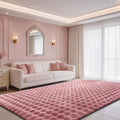 Dusty Rose Rabbit Plush Rug 5'x7', Fluffy Shaggy Area Rug by CHOVY