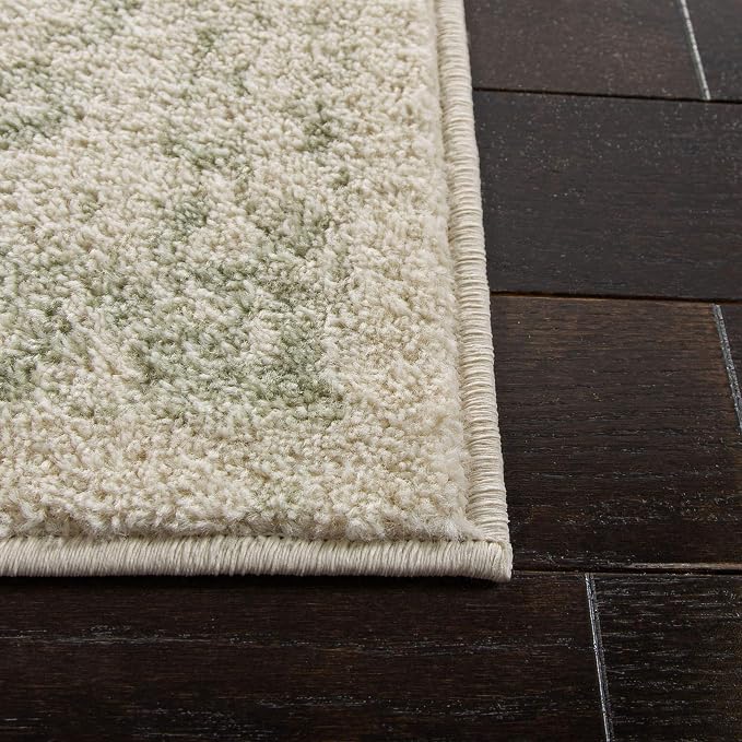 SAFAVIEH Area Rug 6x9 - Image 5