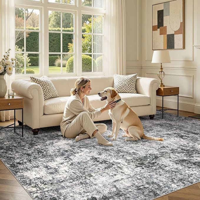 Area Rug Living Room Rugs - Image 5