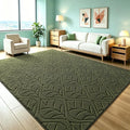 Macgace 5x7 Green Area Rug, Soft Shag Carpet, Washable Living Room Rugs by Macgace