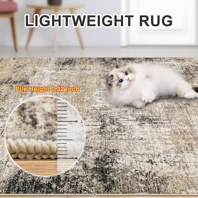 8x10 Area Rugs for Living Room - Image 6