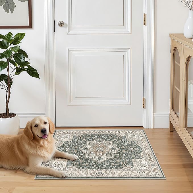 Vintage Entryway Area Rug 2x3 - Image 7