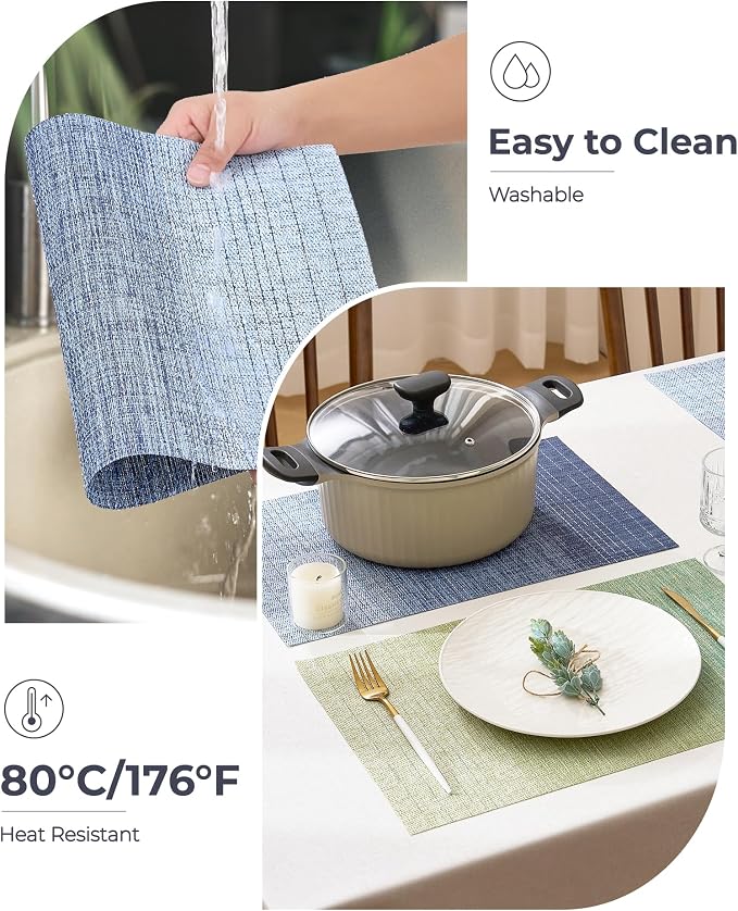 Leetaltree Gradient Blue Woven Placemats Set of 12 - Image 5