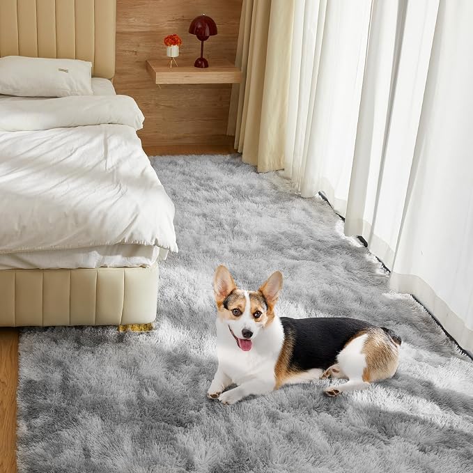 Ultra Soft Rug for Living Room, 6X9 Fluffy Shag Area Rug for Bedroom, Modern - Image 3