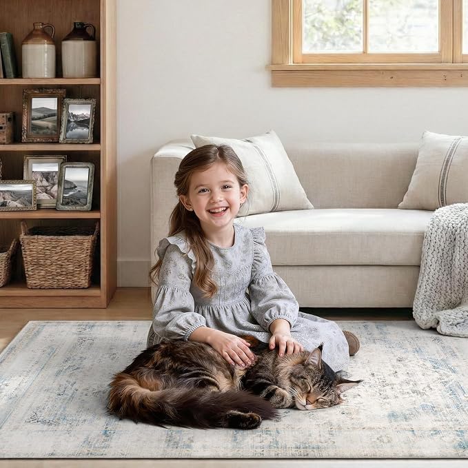 DCX 3x5 Haze Blue Rug, Machine Washable Stain Resistant Distressed Vintage Rug - Image 4