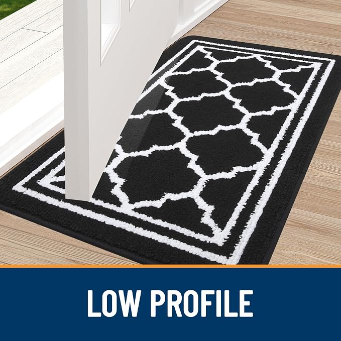 Buganda Indoor Door Mat, Dirt Resistant and Absorbent Entrance Mat, Low Profile - Image 3