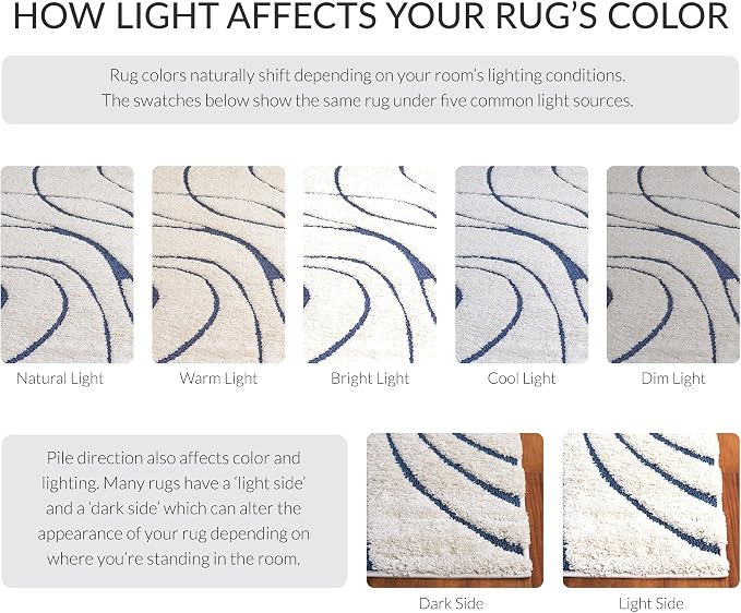 SAFAVIEH Florida Shag Collection Area Rug - Image 9