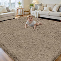 6x9 Area Rug for Living Room, Ultra Soft Fluffy Shag Rugs for Bedroom, Non-Slip by Yidanamy