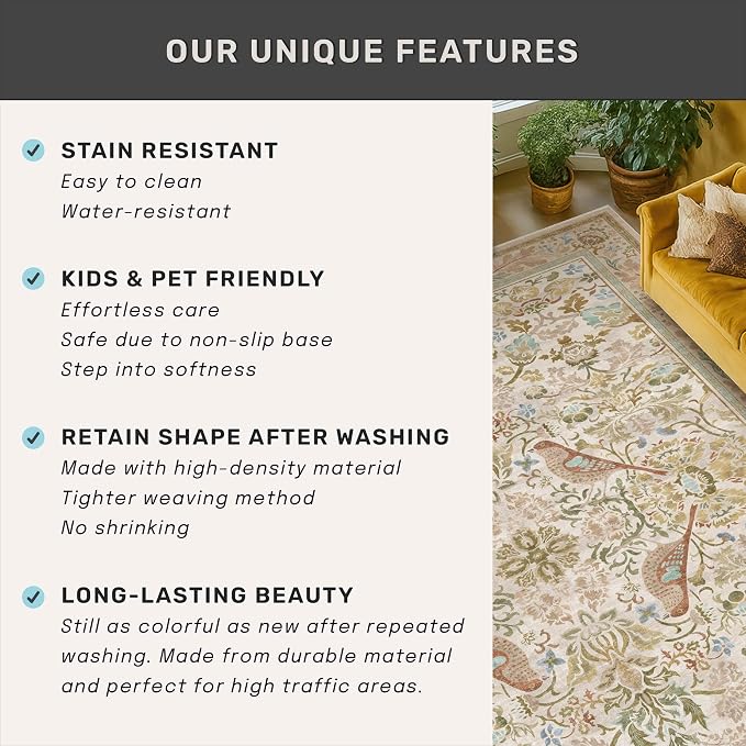 Washable Area Rug 4x6 for Living Room - Image 7