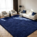 Shag Area Rugs for Bedroom Living Room, Ultra Soft Fluffy Area Rugs for Dorm by Boshengya