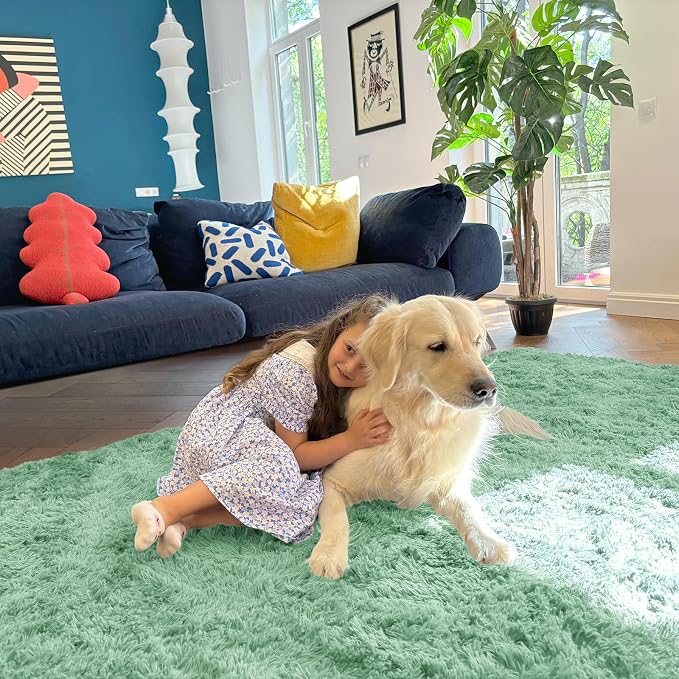 OLANLY 3x5 Machine Washable Small Bedside Rug, Soft Fluffy Shaggy Rugs - Image 5