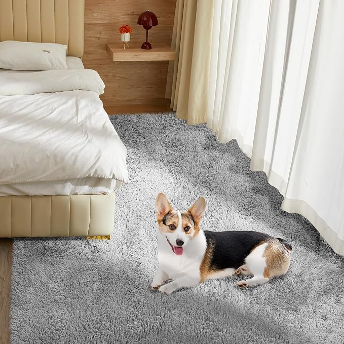 Ultra Soft Rug for Living Room, 5X8 Fluffy Shag Area Rug for Bedroom, Modern - Image 9