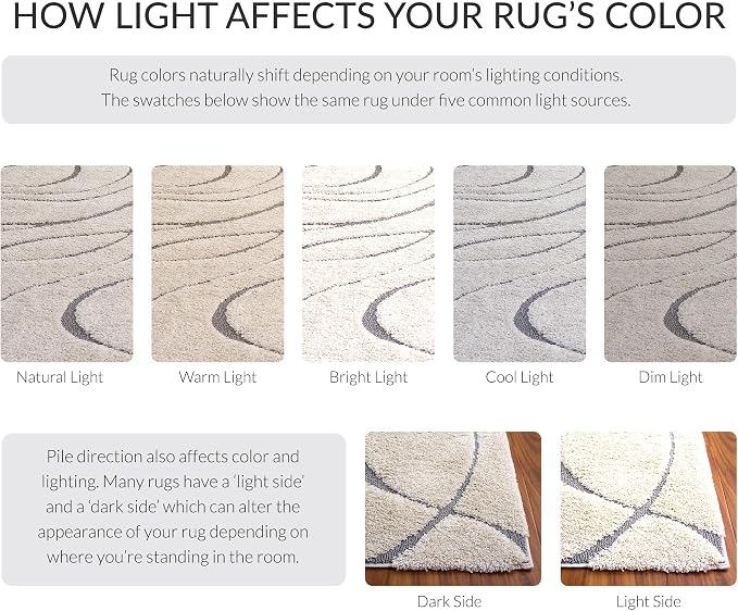 SAFAVIEH Florida Shag Collection Area Rug - Image 10