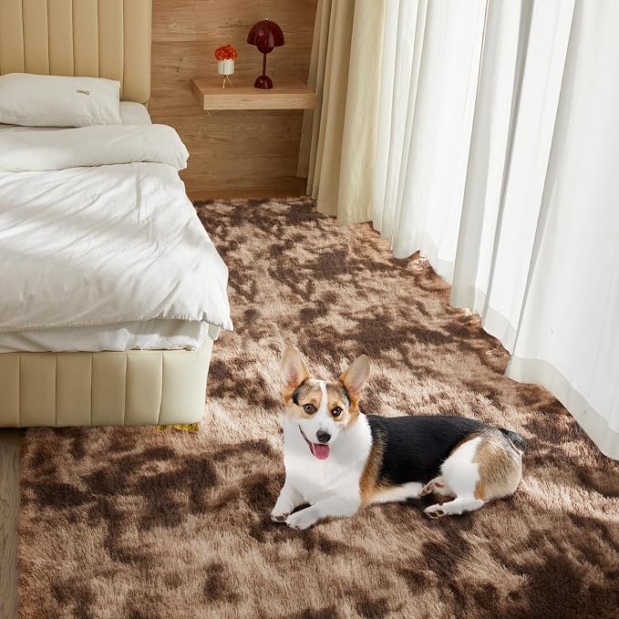 Ultra Soft Rug for Living Room, 6X9 Fluffy Shag Area Rug for Bedroom, Modern - Image 9