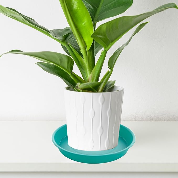 6 Pack of 8 inch Plant Saucer Blue, Plastic Plant Water Tray 8 inch Round - Image 5