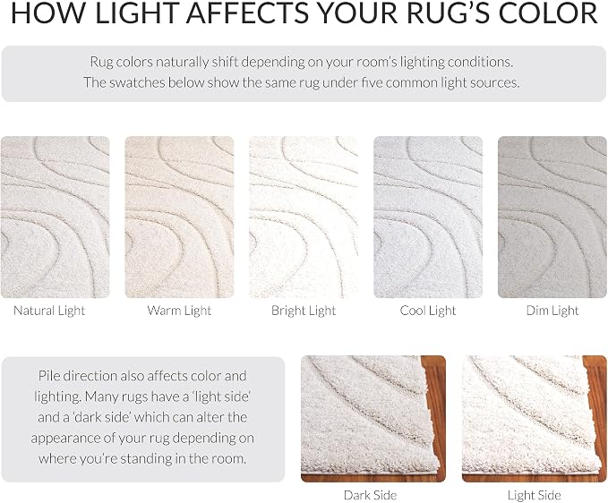 SAFAVIEH Florida Shag Collection Area Rug - Image 8