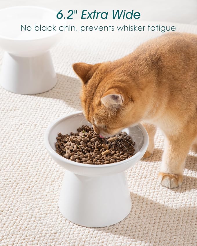 vancasso Extra Wide Elevated Cat Bowls 2-Pack, Shallow Ceramic Raised Cat Food - Image 4