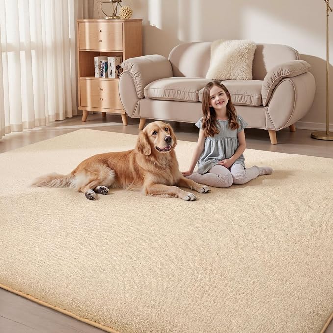 Sour Lemon 8x10 Area Rugs for Living Room, Soft Large Area Rug Fluffy Rugs for - Image 6