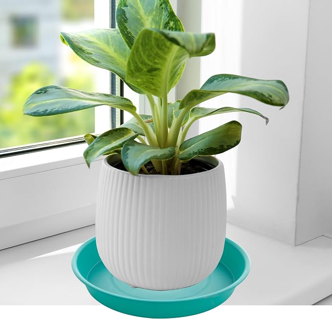 2 Pack of 10 inch Plant Saucer Gray, Heavy Duty Plastic Plant Saucer 10 inch - Image 4