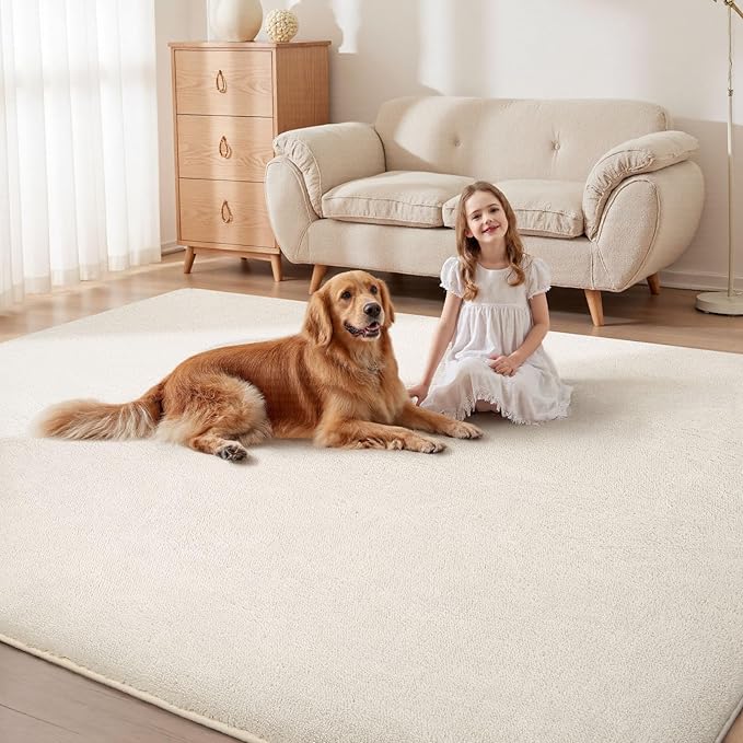 Sour Lemon 10x14 Area Rugs for Living Room, Soft Large Area Rug Fluffy Rugs for - Image 5