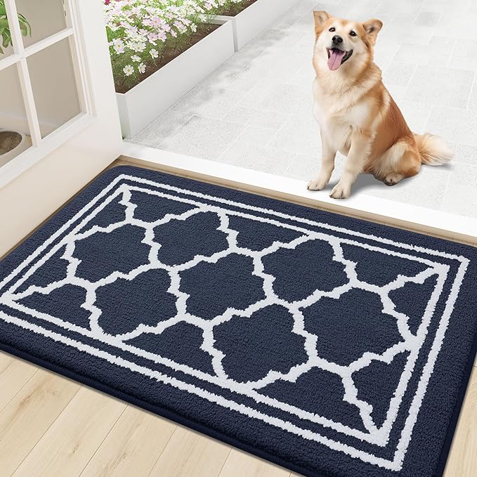 Buganda Indoor Door Mat, Dirt-Resistant and Absorbent Doormat, Low Profile by Buganda