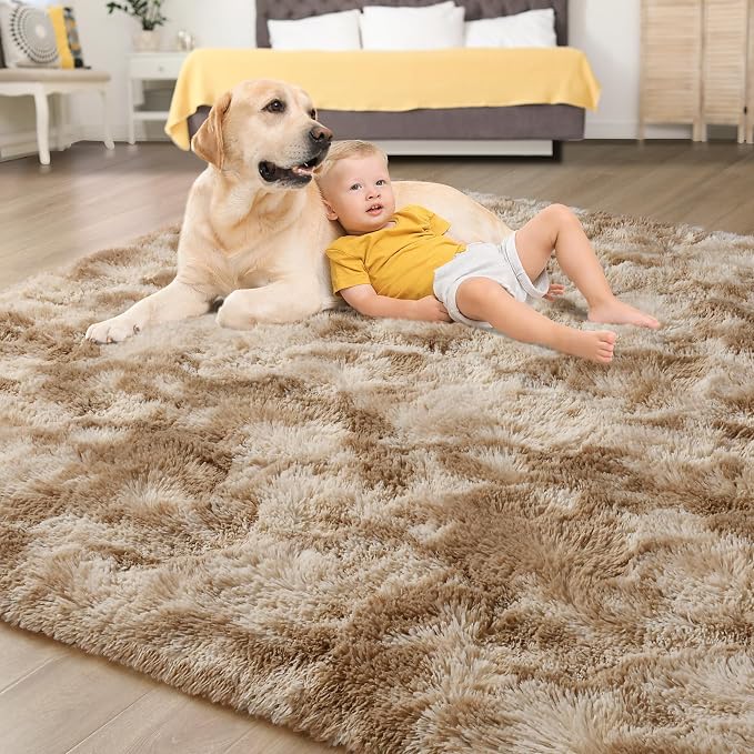 Tepook Soft Fluffy Rugs for Bedroom, 4x6 Area Rug for Living Room, Modern - Image 4